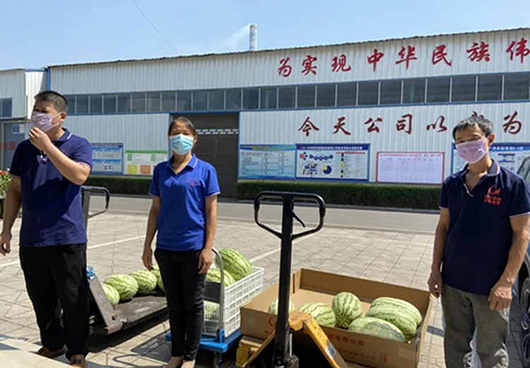 新利体育luck18(中国)集团组织开展夏日送清凉系列活动